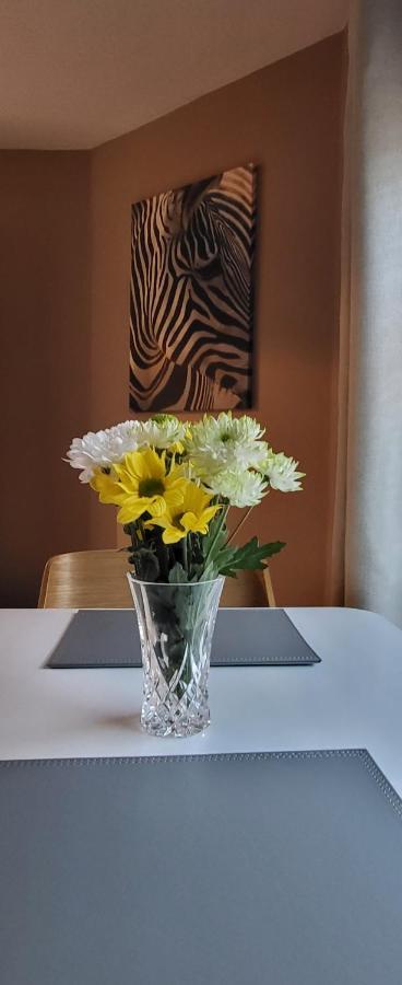 נוטינגהאם Cosy Stays Daybrook מראה חיצוני תמונה